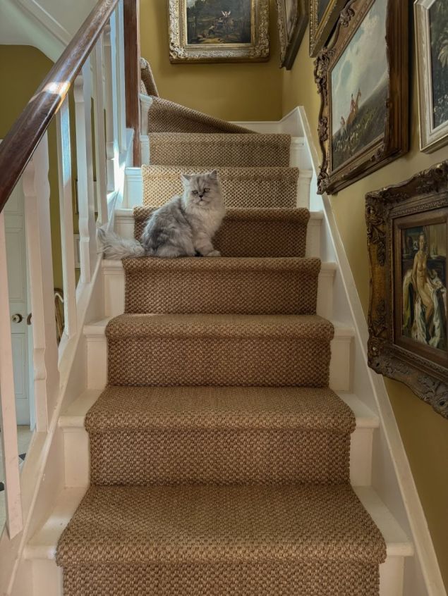 Sisal Bengal - Medium
